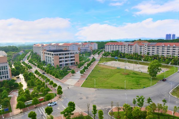 五彩缤纷