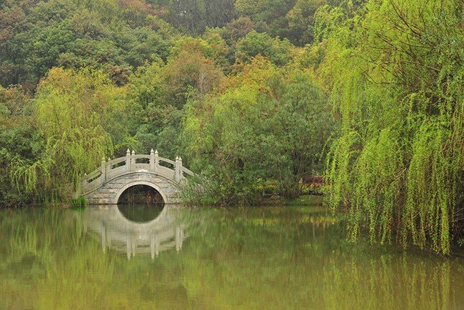 五彩缤纷
